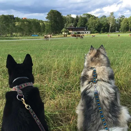 Centrum Lakowa 1 לינה וארוחת בוקר