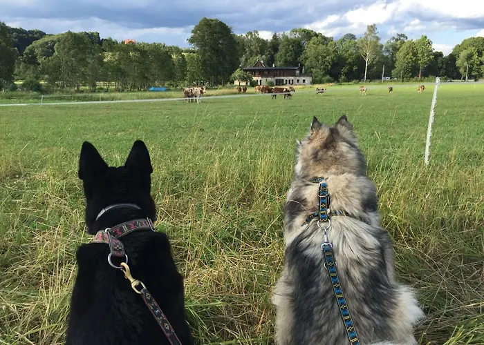 Centrum Lakowa 1 Bed & Breakfast